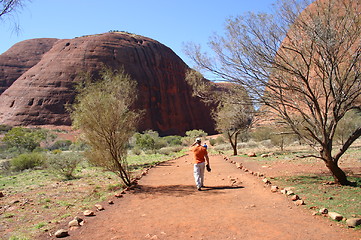 Image showing trial at the olgas