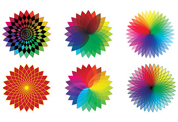 Image showing spectrum flowers