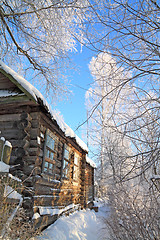 Image showing old rural house amongst tree