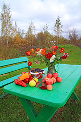 Image showing autumn still life on green table