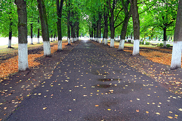 Image showing wet track in autumn park