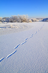 Image showing human trace on crystalline snow