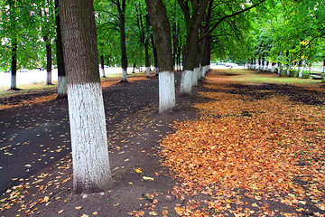 Image showing yellow sheet in autumn park