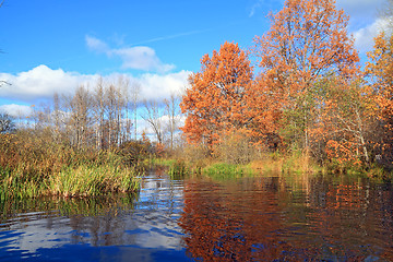 Image showing autumn wood on coast river