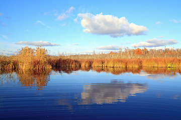 Image showing yellow reed on small lake