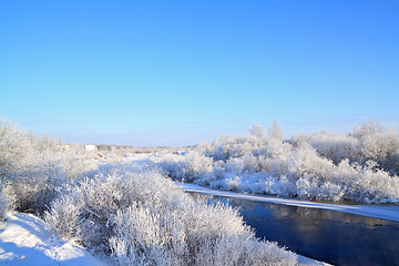 Image showing snow tree on coast river 