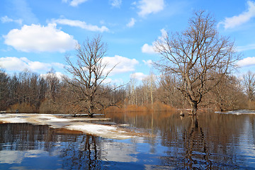 Image showing autumn ice on small river