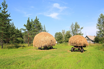 Image showing stack hay near pine wood 