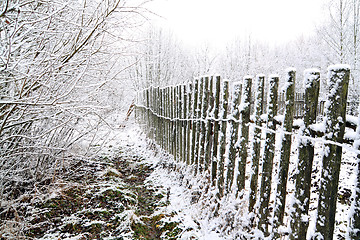 Image showing old fence in snow