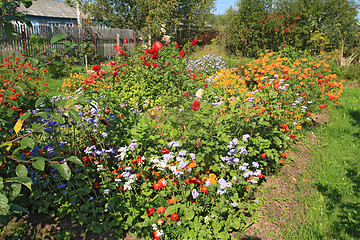 Image showing flowerses near rural building