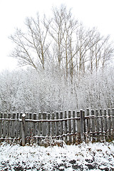 Image showing old gray fence in snow