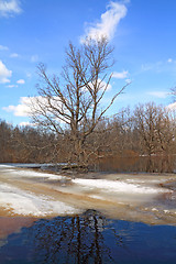 Image showing spring ice on small river