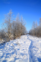 Image showing wet lane in winter park 