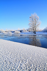 Image showing crystalline ice on coast river