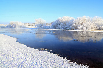 Image showing snow bushes on coast river