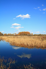 Image showing small river on autumn field 