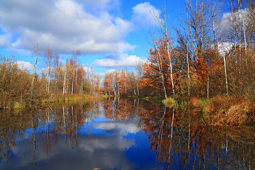 Image showing autumn wood on coast river