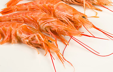 Image showing King prawns