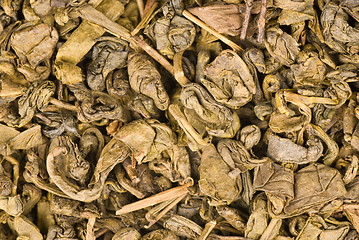 Image showing Green tea leaves