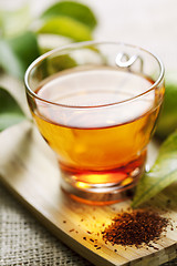 Image showing rooibos tea