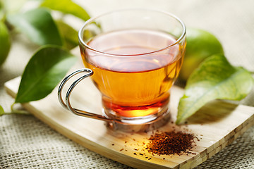 Image showing rooibos tea