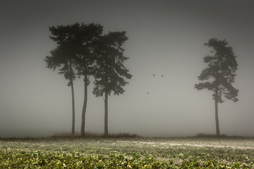 Image showing nebel