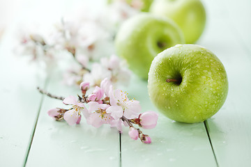 Image showing green apples