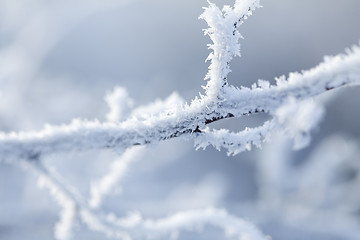 Image showing snow crystals