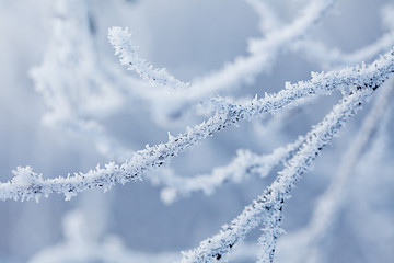 Image showing snow crystals