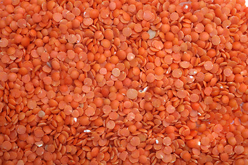 Image showing Red Lentils