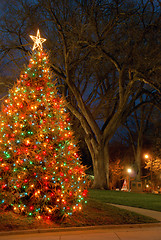 Image showing Christmas tree at night