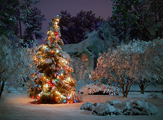 Image showing Christmas tree