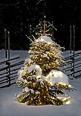 Image showing Christmas tree