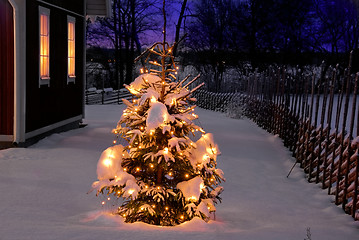 Image showing Ourdoor Christmas tree at night