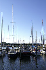 Image showing Yachts