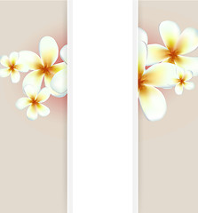 Image showing Vector flowers background