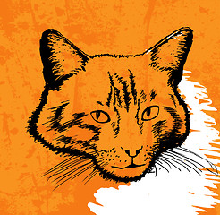 Image showing cat drawing vector on grunge background