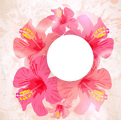 Image showing Abstract tropical background. Hibiscus flower for design.