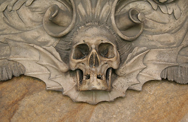 Image showing Skull