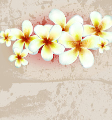 Image showing Vector flower background