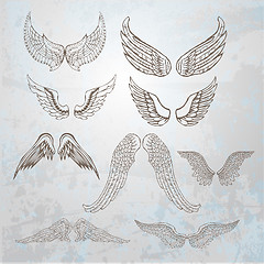 Image showing Wings set.  hand drawn illustration.