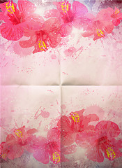 Image showing Abstract tropical background. Hibiscus flower for design.