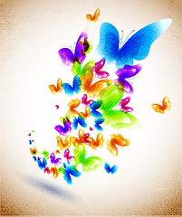 Image showing Butterfly on the canvas background