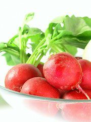 Image showing vegetable - radish