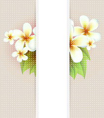 Image showing Vector flowers background