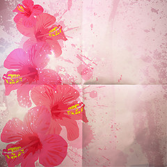 Image showing Abstract tropical background. Hibiscus flower for design.