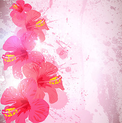 Image showing Abstract tropical background. Hibiscus flower for design.