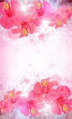 Image showing Abstract tropical background. Hibiscus flower for design.