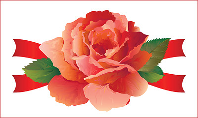 Image showing rose with ribbons