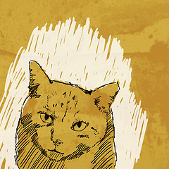 Image showing cat drawing vector on grunge background